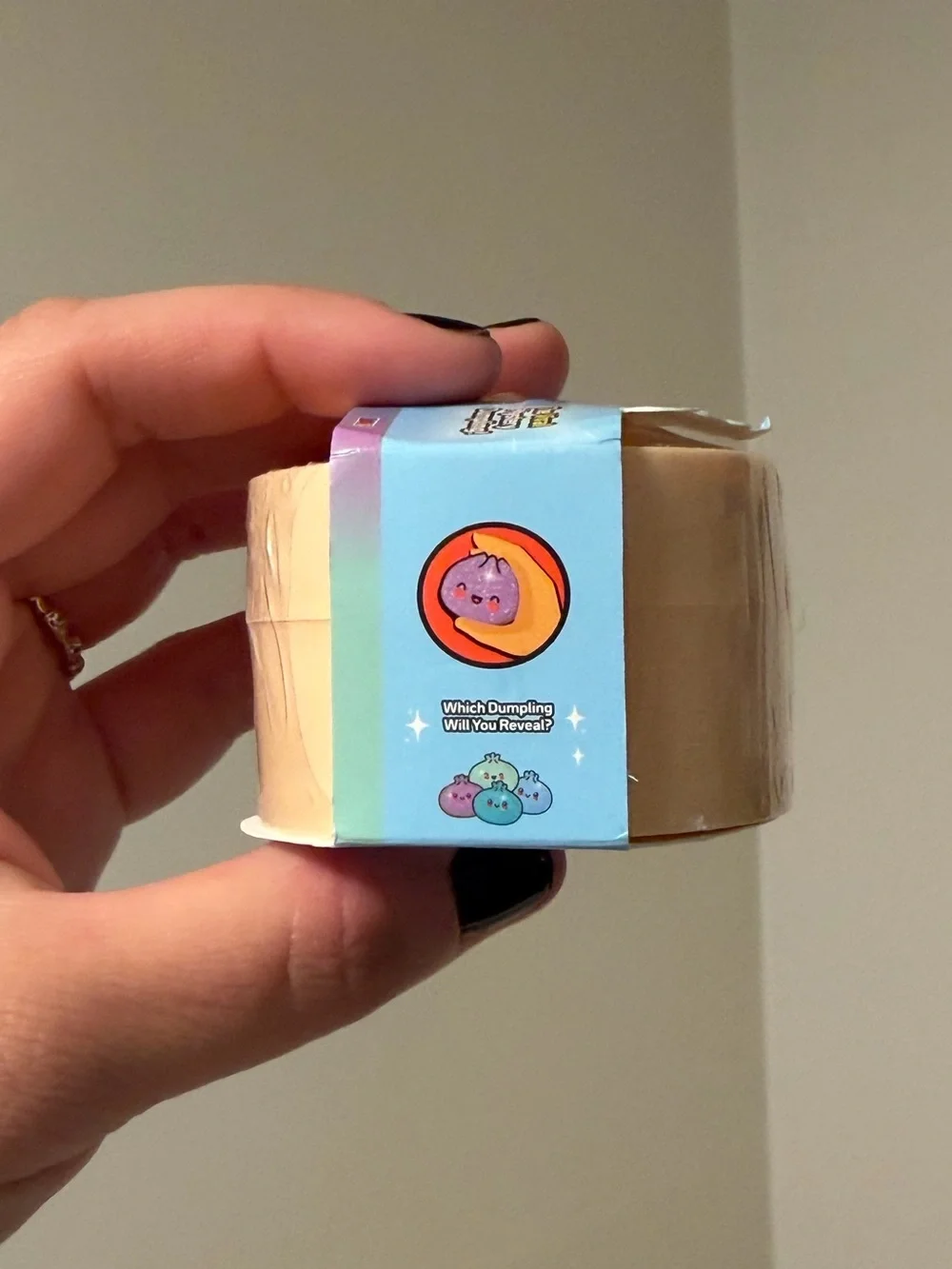 RMS Mystery Dumpling — Mini Glitter Edition ✨🥟 (1 PC)